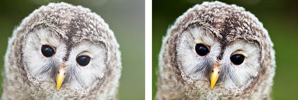 Kf K&F Adapter For Sony E Nex E-mount On M42 M-42 / Kf06.067 foto, video aksesuāri