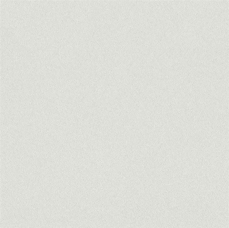 WALLPAPER 479423 RASCH 0.53 479423