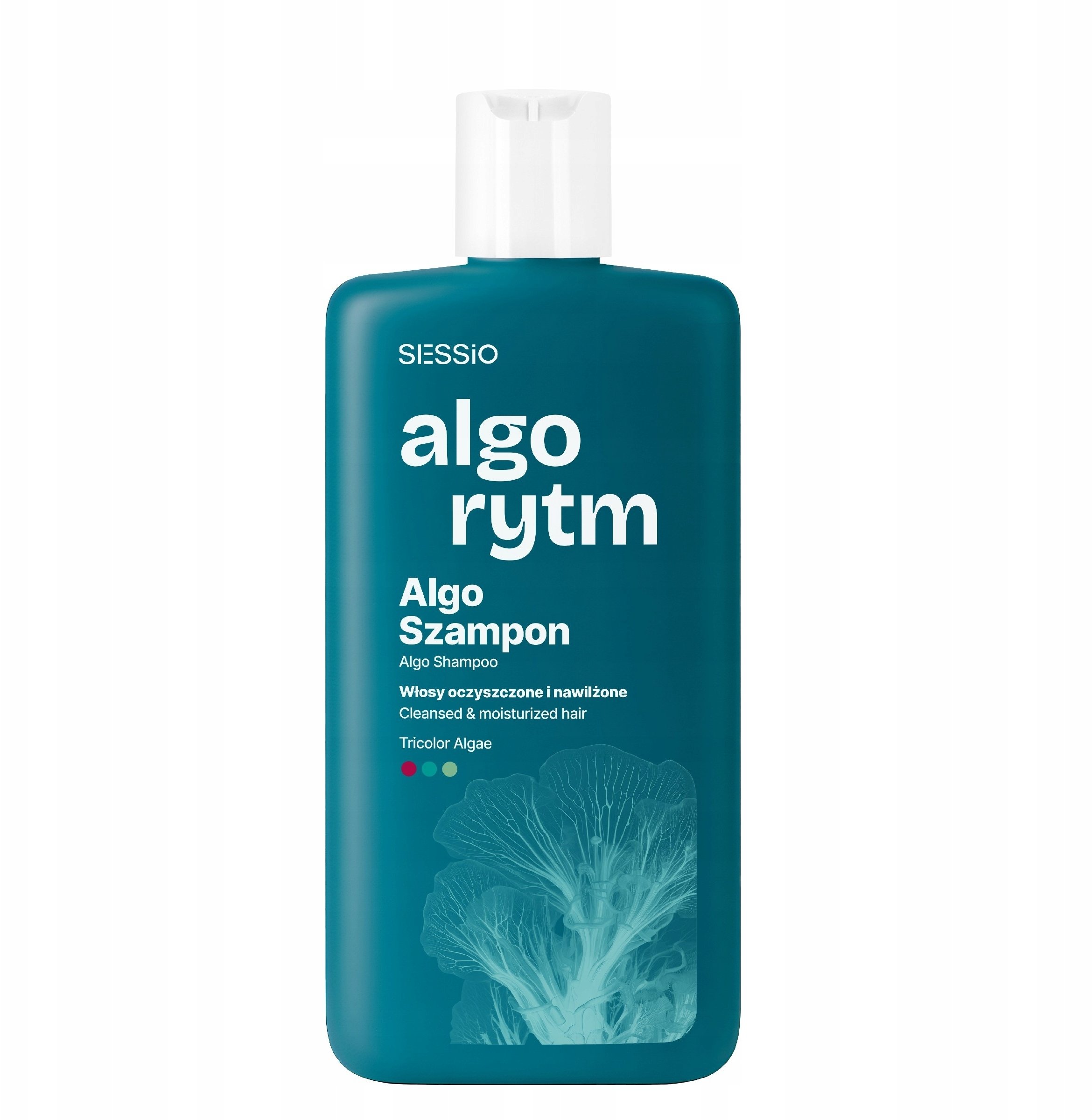 Chantal CHANTAL Sessio Algorytm Algo -