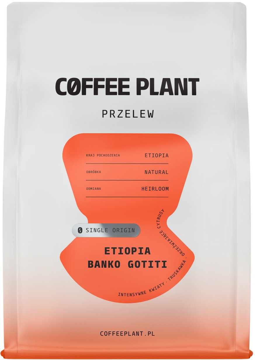 Kawa ziarnista Coffee Plant Zairnista Etiopia