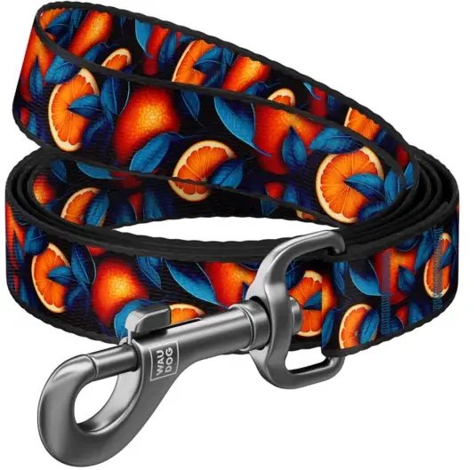 Waudog Wau Dog smycz nylon M