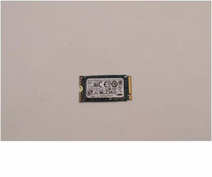 Lenovo 256GB M.2 242 PCIe4x4