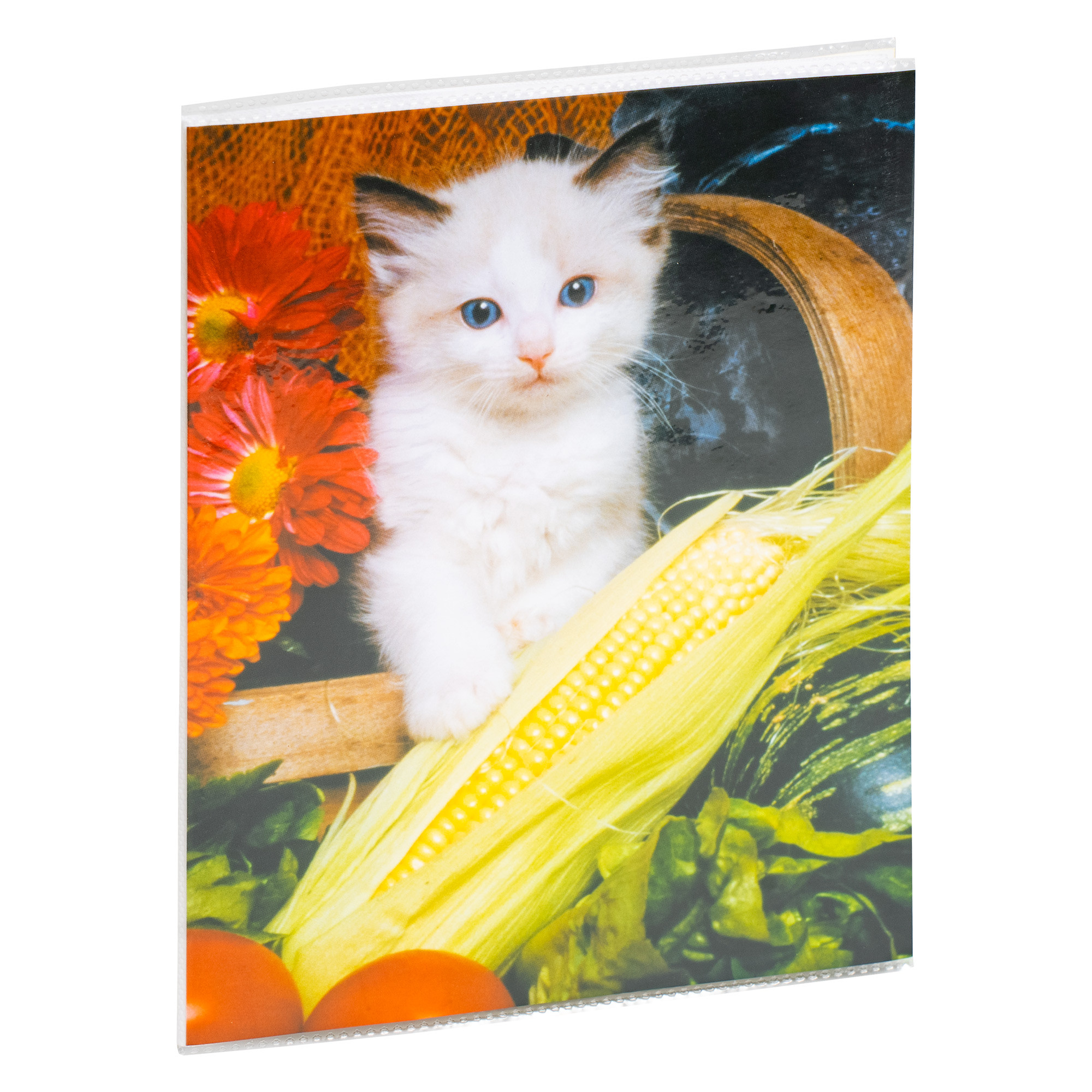 Album P2-6824 15x20/24 assorted 5907651344154 5907651344154