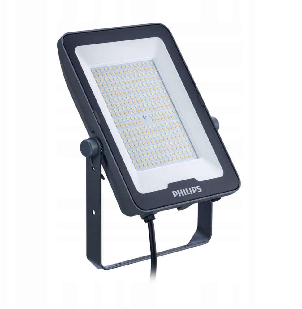 Naswietlacz Signify Philips Ledinaire Projektor Stor