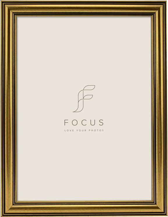 Ramka Focus Focus Holly Gold 10x15