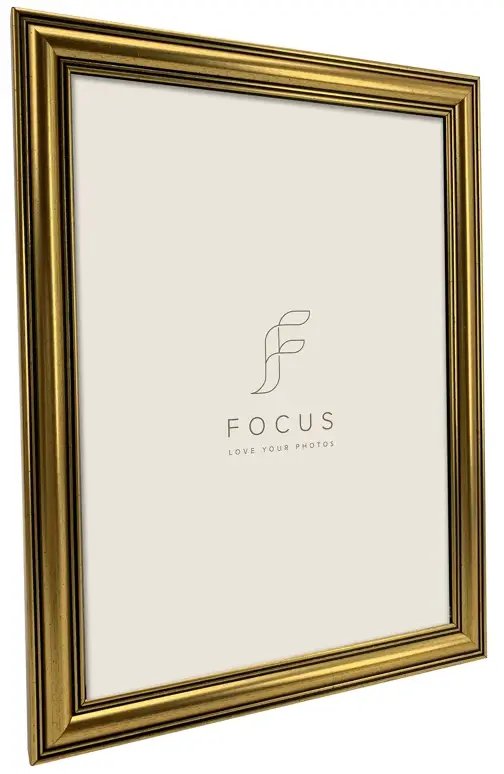 Ramka Focus Holly Gold 13x18 132613