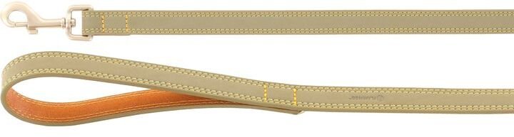 Flamingo Dog leash Virginia green 1
