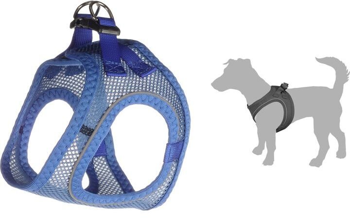 Flamingo Dog HAR.STEPGO BENTO blue