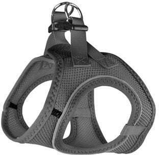 Flamingo Dog har.STEPGO BENTO grey