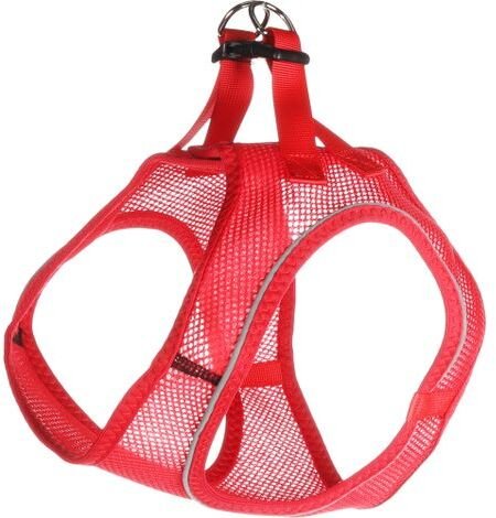 Flamingo Dog HARN.STEPGO BENTO red