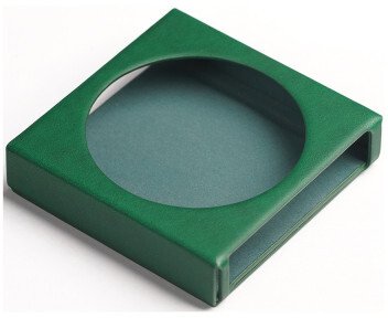FiiO SK-Disc Case Green - dedykowane