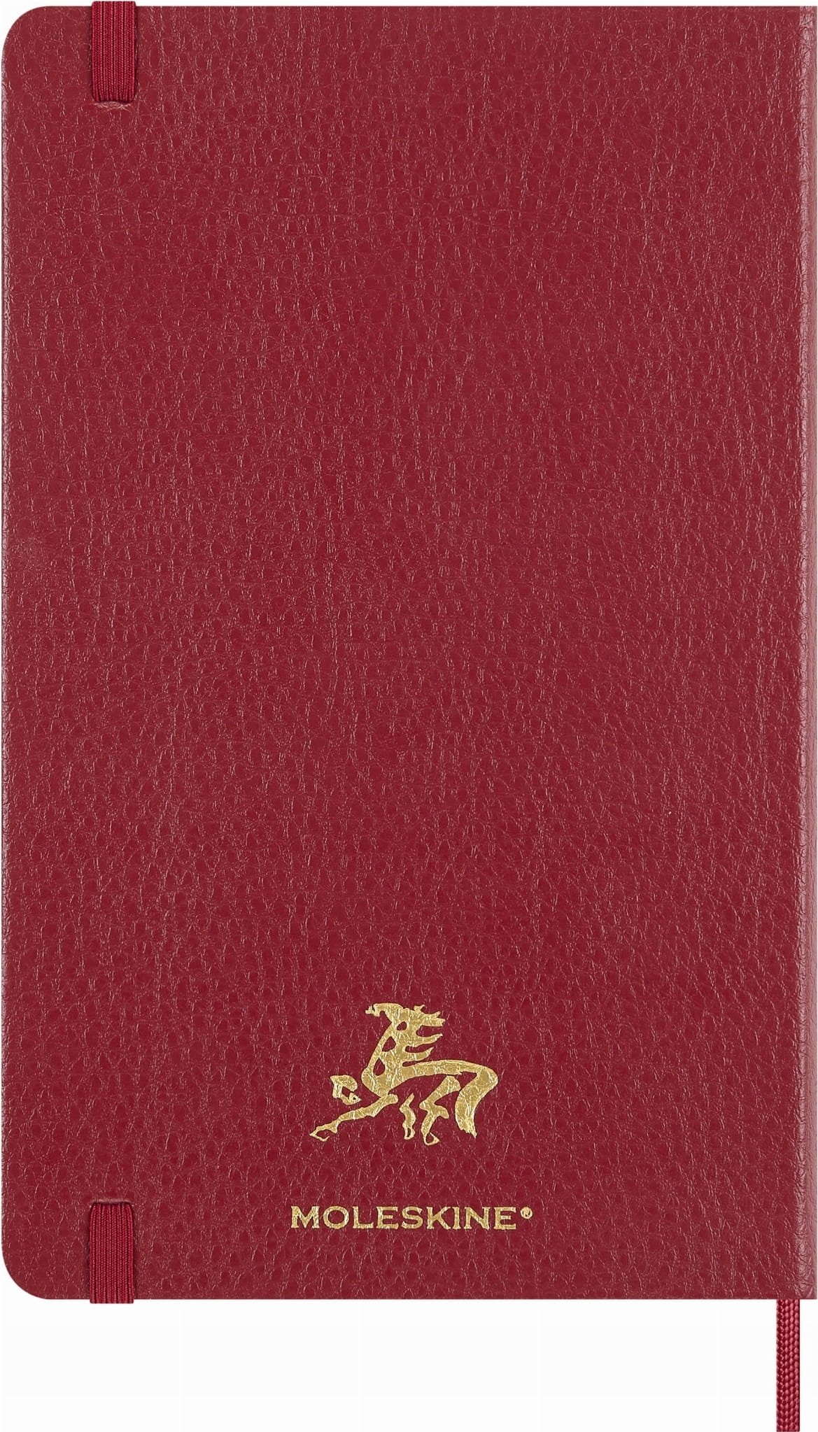 Moleskine Notes 2026 Horse L w