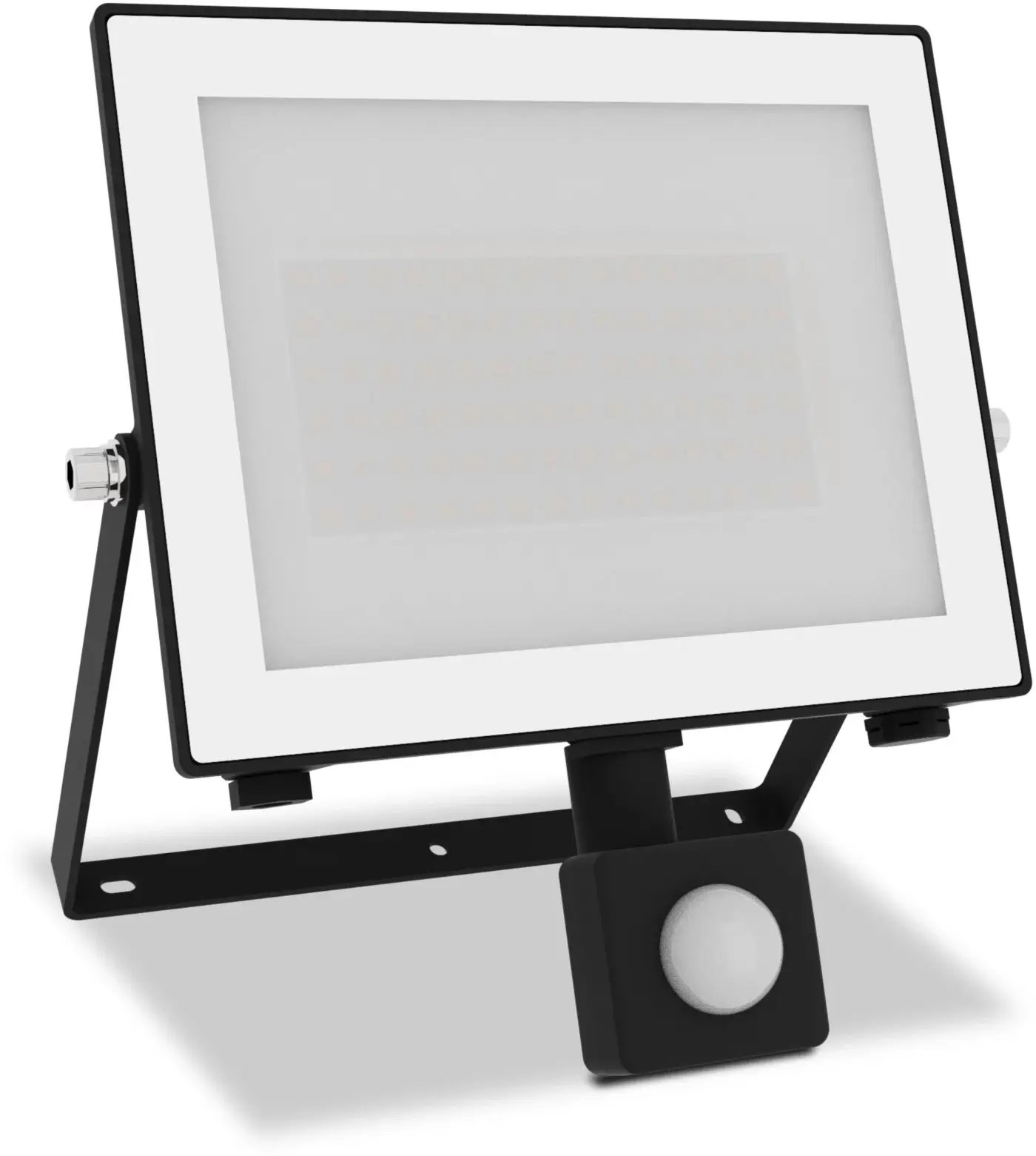Naswietlacz Philips Lois Naswietlacz LED 50W