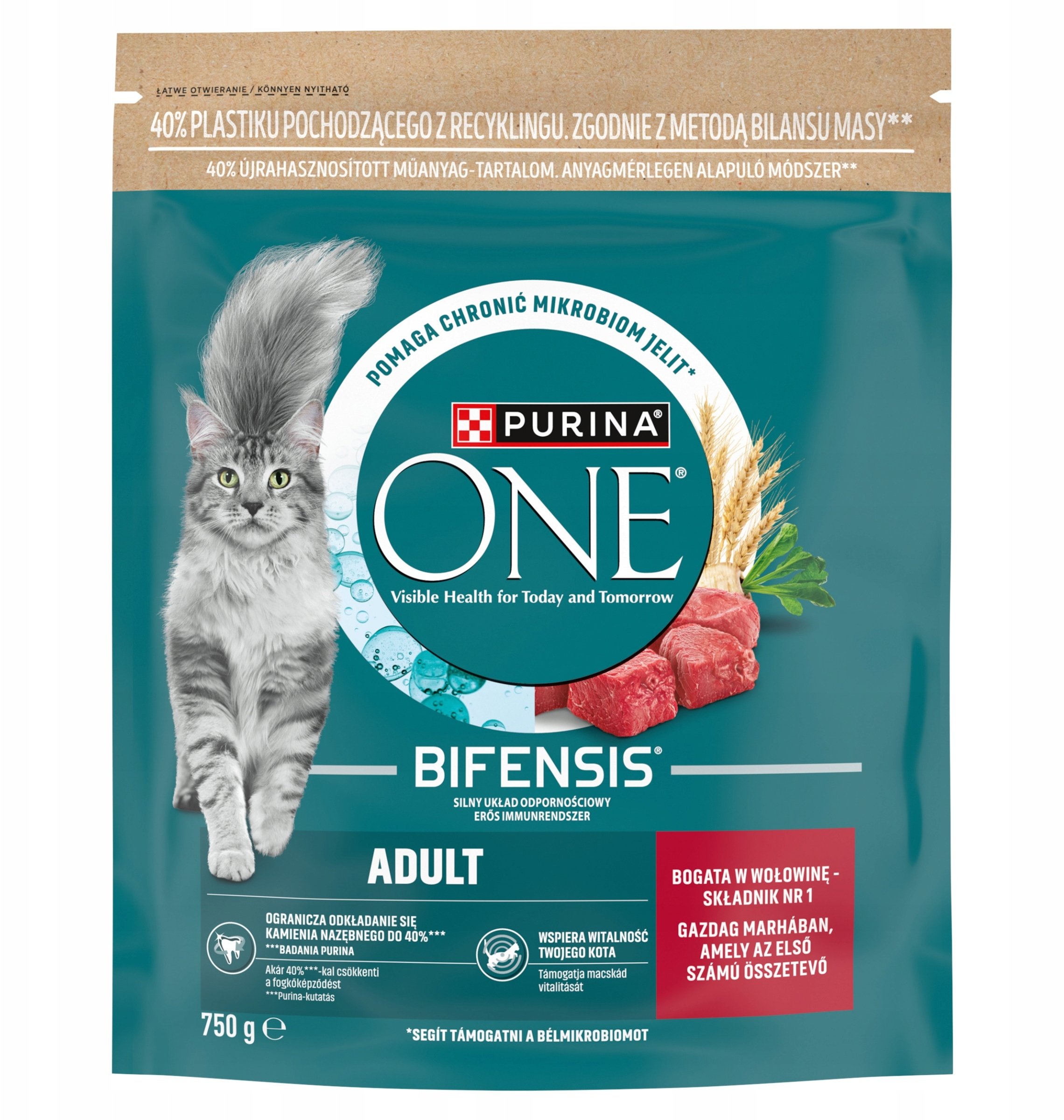 Purina Karma sucha dla kota ONE