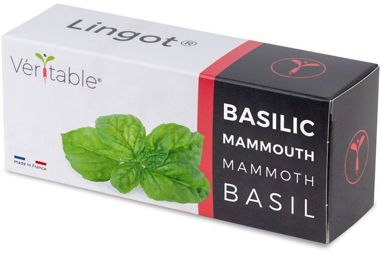 Veritable Veritable Kostka Bazylia mamucie VLIN-O10-Bas058