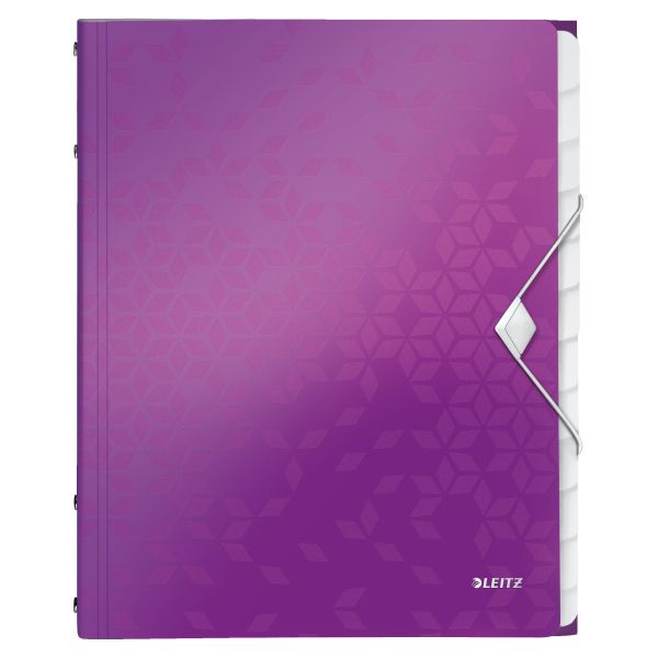Esselte Briefcases with 12 compartments Leitz