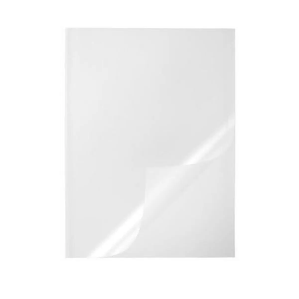 Document Folder Durable 291919 Transparent A4