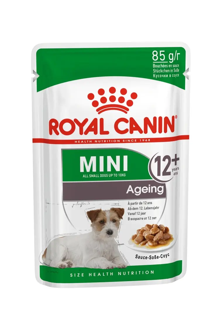ROYAL CANIN Mini Ageing 12+ -