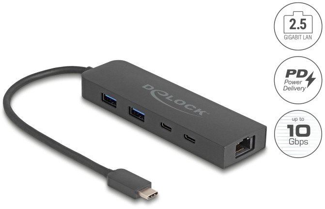 Karta sieciowa Delock DELOCK 10 Gbps