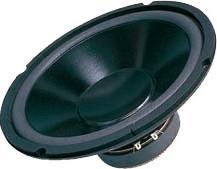 Glosnik samochodowy Dibeisi Glosnik 10quot DBS-G1001