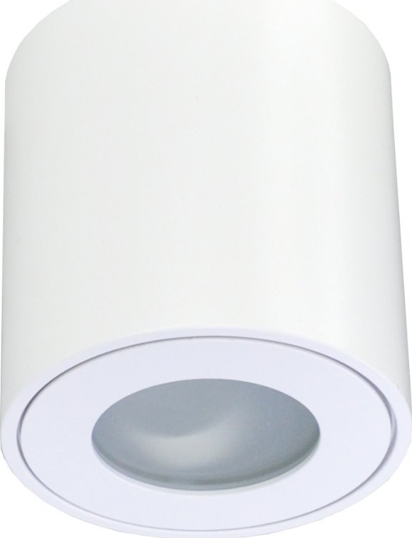 Lampa sufitowa ECOLIGHT2 Eco Light* EC79971