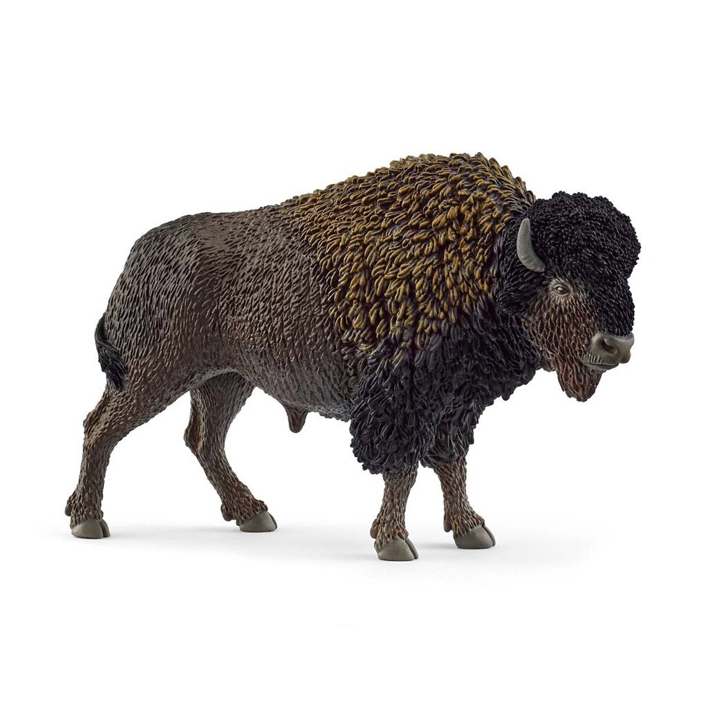 Schleich - Wild Life - Bison
