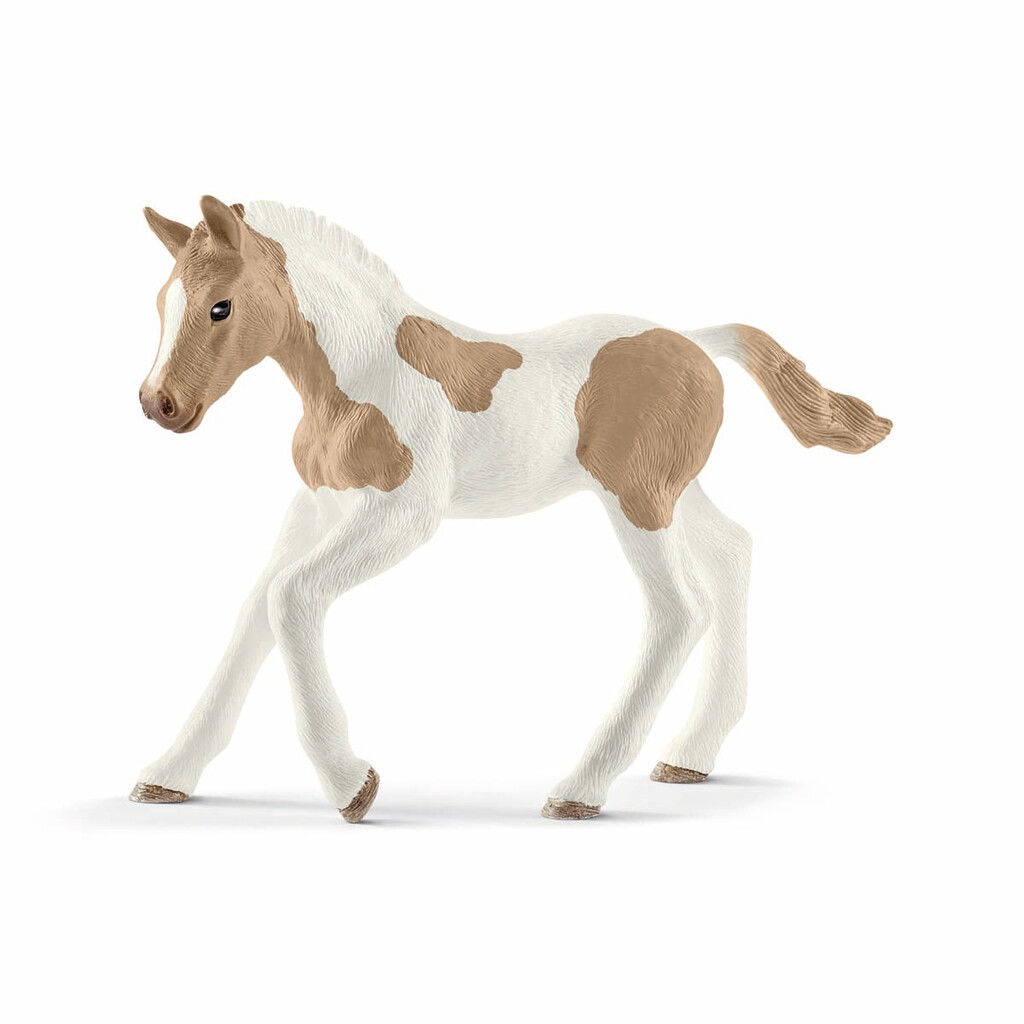 Schleich - Paint Horse Foal (13886)