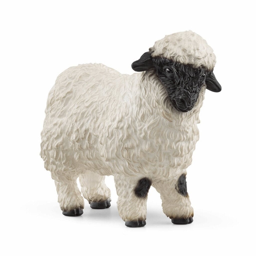 Schleich - Farm World - Blacknose