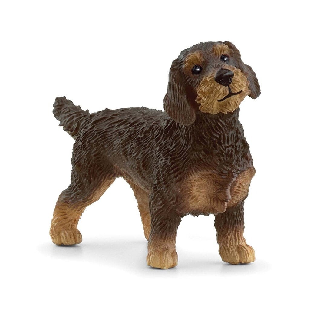 Schleich - Farm World - Wire-Haired