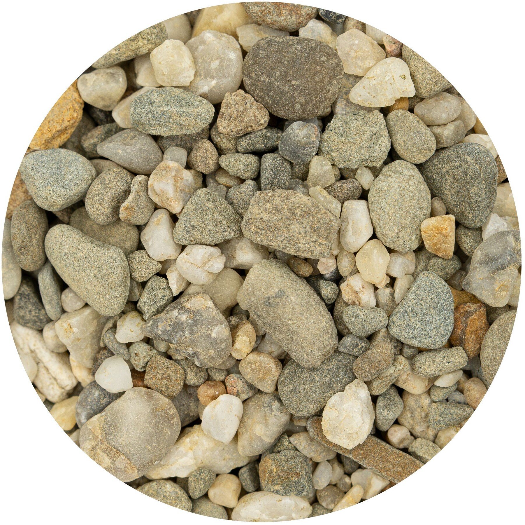 AquaNatura Aqua Natura Caparo zwirek dekoracyjny